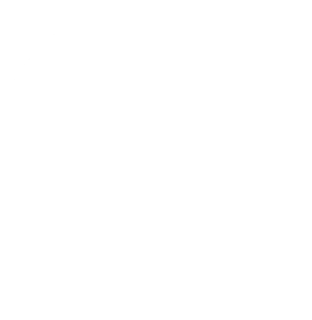 logo espace montagne