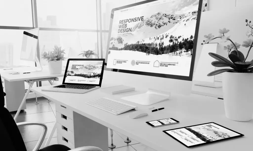 prix site vitrine