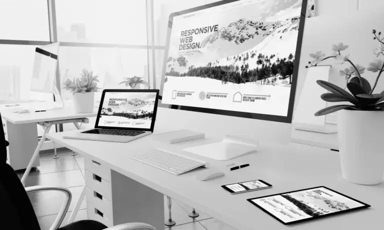 prix site vitrine